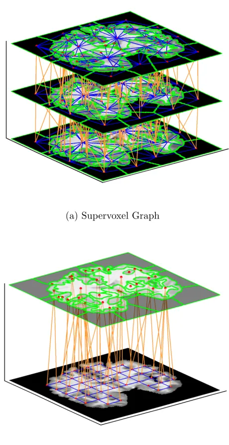 Figure 4.4: Three consecutive slices are shown for the supervoxel graph (a), wherethe blue edges E1 indicate the pairwise potential in the coronal plane while the orangeedges E2 are the pairwise potential of two adjacent slices