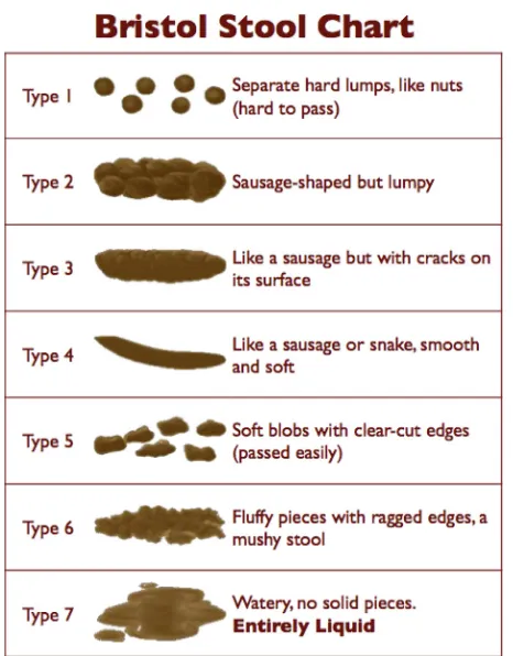 Fig. E.1. Bristol stool chart; image created by Kyle Thompson for Michigan Medicine,University of Michigan, under a Creative Commons Attribution-NonCommercial-ShareAlike 3.0 Unported License.
