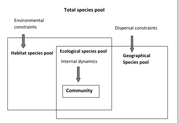 Figure 2.1. The relationship among four types of species pools and the processes that  determine the membership within each species pools