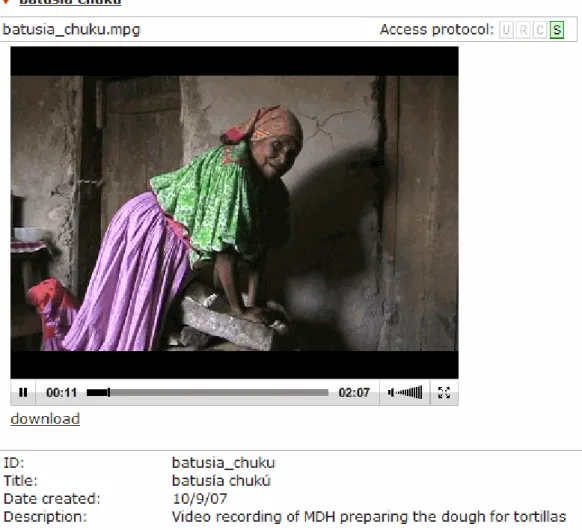 Figure 8: Playing a video in the browser – is this access? 23