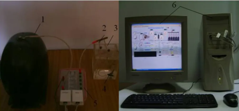 Fig. 6. Set-up for the accelerated growth of water trees: 1 - Transformer; 2 - HV; 