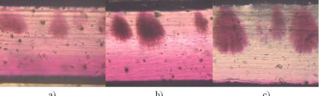 Fig. 7. Water trees obtained in polyethylene samples after 24 h (a), 48 h (b) and 72 h (c)