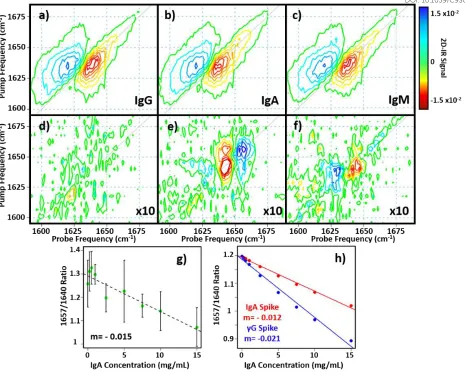 Figure 6: a-c) 2D-IR spectra of IgG, IgA and IgM in H2O. d-f) Difference spectra obtained by subtracting the 2D-IR response of the spectra in a-c) from that of the γ-globulins