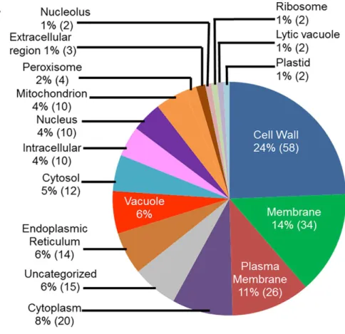 Fig 4. Classes of genes up-regulated in roots infected with F. virguliforme as compared to the roots treated with water