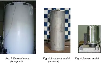 Fig. 7 Thermal model          Fig. 8 Structural model    Fig. 9 Seismic model             (overpack)                    (canister) 