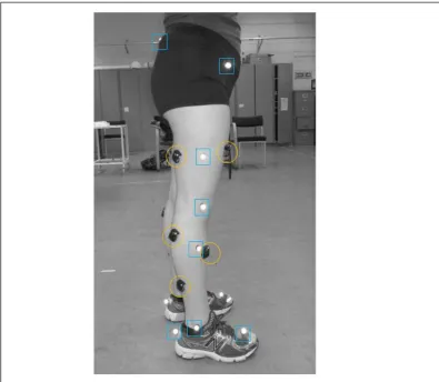 Figure 1: Wireless EMG electrodes (in circles) and reflective markers (in rectangles) placement.