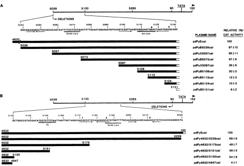 FIG.~~~~~~~~~DELETIONStheofdeviationseachimmunoglobulininitiation.issequencessiteproceeded numbered Py