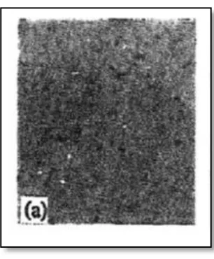 Figure 2.6: Specific Speed Method Sear Scar Result.(Kuo et al., 1996) 