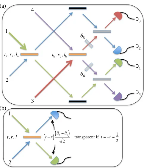 FIG. 1.(a) Setup for two beam splitter nonlocal coherentabsorption. Light enters in modes 1 (green) and 3 (red) andimpinges on two symmetric 50% lossy beam splitters a and b.Input modes 2 (blue) and 4 (purple) are in vacuum states