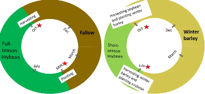 Figure 1-2. Illustration of the monocroping soybean production system (left), and a potential  607 