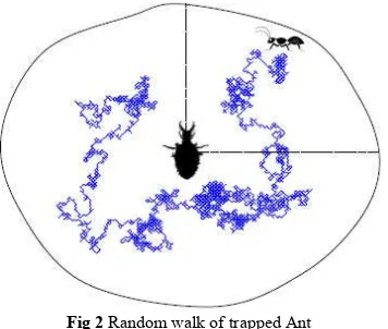 Fig 2 Random walk of trapped Ant 