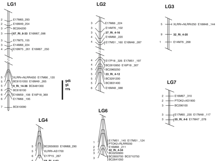 Fig. 1 Genetic linkage map showing the position of the RGA loci (in bold letters) on red raspberry linkage groups