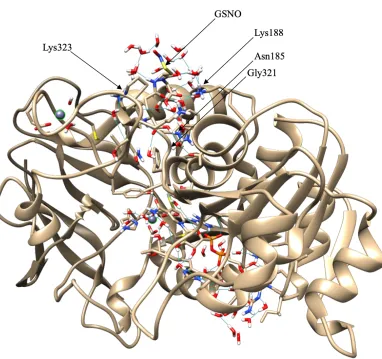 Figure 1.4 Molecular docking simulation showing the location of the proposed allosteric site and how 