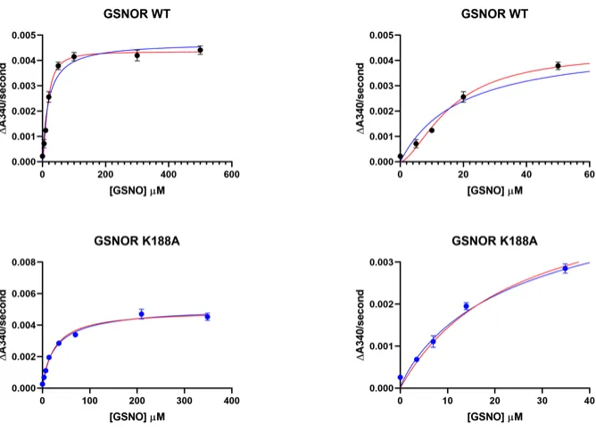 Figure 1.7.1 (i) Plots of the kinetic data obtained for GSNOR WT and GSNOR K188A. The left panel shows the full Michaelis Menten plots (blue line) as well as the sigmoidal curve (red line) however the deviation cannot be seen