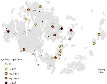 Fig. 1 Map of the study sites, indicating the location of (i) the initial observation of pycnidia in 2011 (four populations indicated with white triangles), (ii) the populations sampled in 2013 (four sites indicated with grey triangles), (iii) the populati