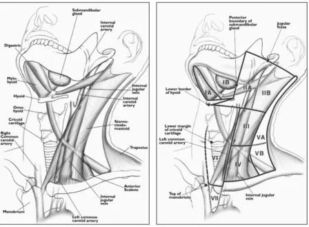 Figure 4 A. Drawing shows anatomy pertinent to nodal classification. B, Drawing shows specific margins of anatomy seen in A that relate to definitions of classification levels (3)