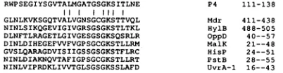 FIG. 3.oligopeptidedruganprotein(MalK),sites. ATP-dependent Comparison of a portion of the amino acid sequence of P4 with those of a group of proteins with nucleotide-binding The sequences are derived from the genes for the multiple resistance protein (Mdr
