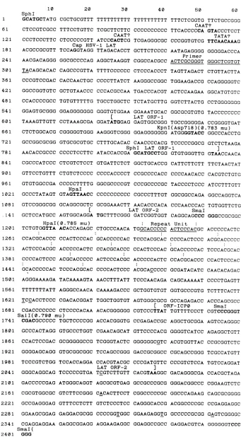 FIG. repeats ICPO ends at base opposite box the of the KOS(M) and 17 syn+ strains of HSV-1 strain m.u