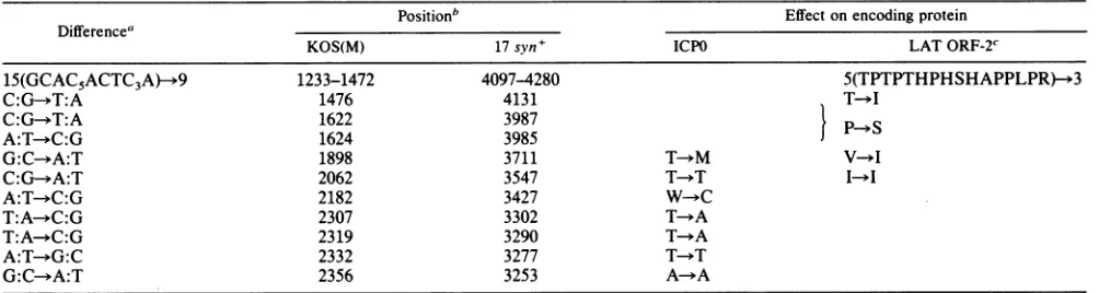 TABLE 1. Strain differences in the DNA sequence encoding the 3' portion of HSV-1 LAT
