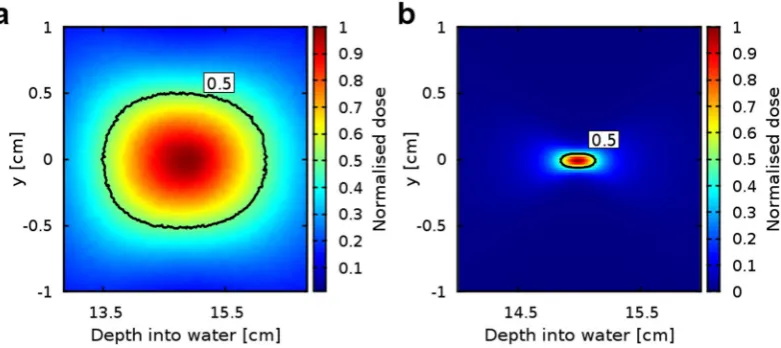 Figure 4. Samples of magnified dose profiles at the focus. (a) 200 MeV and (b) 2 GeV beams focused at a depth of 15 cm for f/1.2