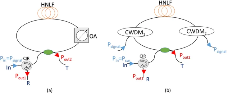 Fig. 1. Non-linear optical loop mirror (a) in self phase modulation configuration; (b) in cross 