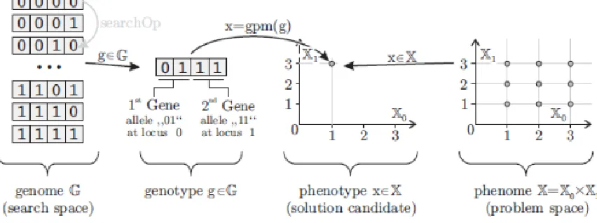 Figure 3.1: Relation between Genomes and Phenomes [46] 