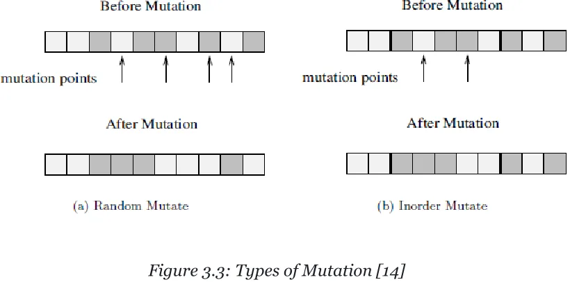 Figure 3.3: Types of Mutation [14] 