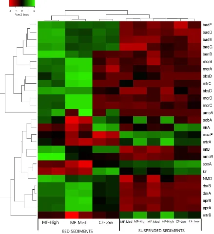 Figure 8: Expression heatmap with dendrograms from both genes and sample locations. Average linkage clustering was performed to identify clusters of genes that closely relate in terms of their expressional shifts down the STB River