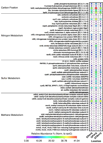 Figure 2: Functional annotations assigned to transcripts relating to methane, carbon fixation, sulfur and nitrogen metabolism