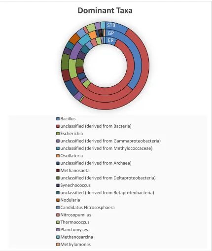 Figure 4: Top abundant taxonomy derived from RNAseq data, using the RDP database. 
