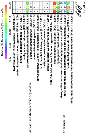 Figure 5: Functional annotations assigned to transcripts relating to chlorocyclohexane and chlorobenzene, as well as nitrotoluene biodegradation