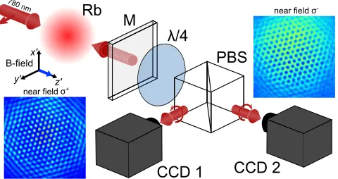 FIG. 1. Simpliﬁed schematics of the experimental setup, adapted