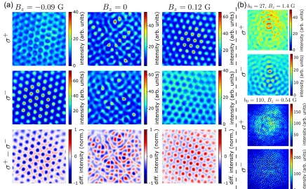 FIG. 2. Near-ﬁeld images of the transmitted part of the reentrant beam intensities (see text) in the self-organized magnetization phases,   