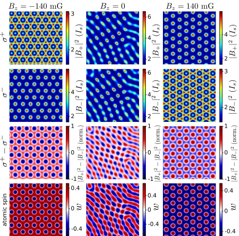 FIG. 6. Growth rate of the patterns for a one-dimensional