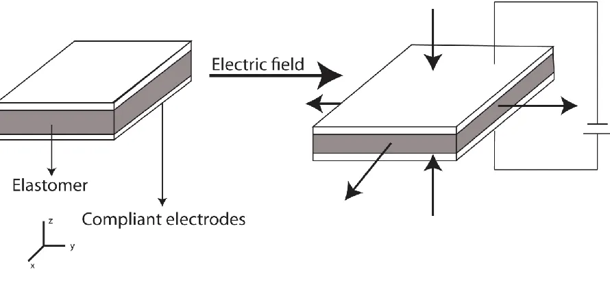 Fig. 11: Schematic illustration showing the operational principle of D-EAPs [48] 