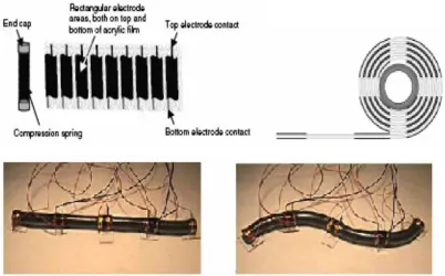 Fig. 19: DEA based robots (a) FLEX-2 robot[5] (b) Skitter Robot using 6 rolled actuators [5] (c) MERbot-a 