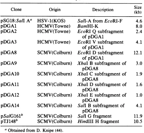 TABLE 1. Description of clones