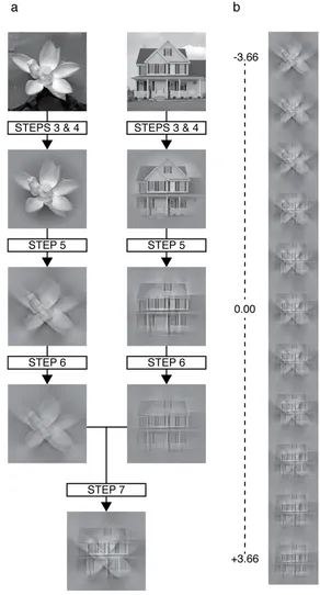 Figure S1. a) Resultant images from steps involved in creating a hybrid from two sample 