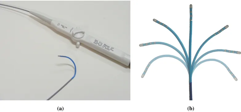 Figure 1.4 Conventional steerable ablation catheter: (a) catheter tip and handle; (b) planar bending 