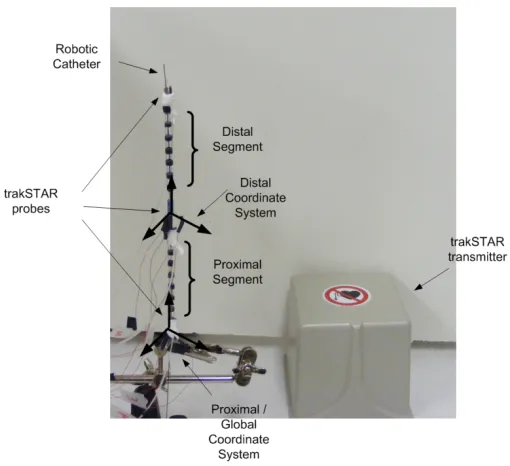 Figure 2.3 Vertical coordinate system for a catheter with multiple segments 