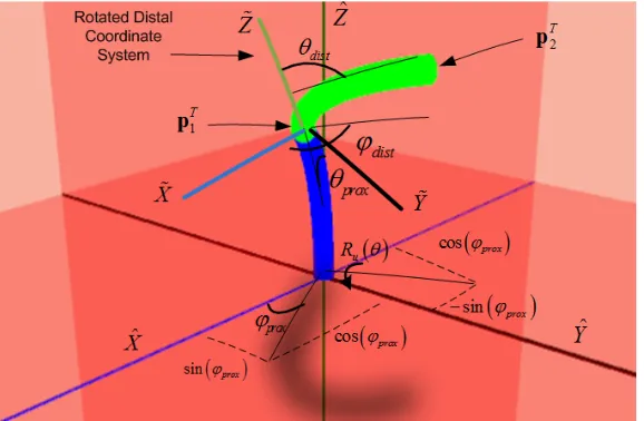 Figure 2.9 Two-segment catheter with coordinate systems and rotation 