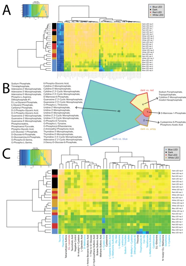 Fig 5. Overview of respiration behavior of Pseudomonas sp. DR 5–09 on 59 phosphorous (P) sources and 35 sulfur (S) sources tested