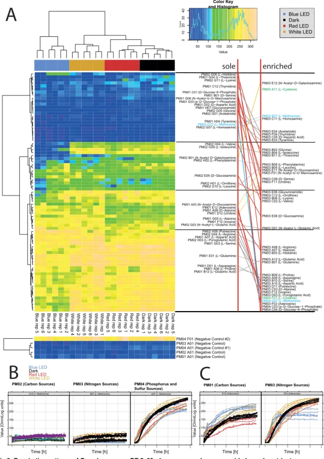 Fig 6. Respiration patterns of Pseudomonas sp DR 5–09 when compounds were provided as sole nutrient sources or enriched with sodium succinate and ferric citrate