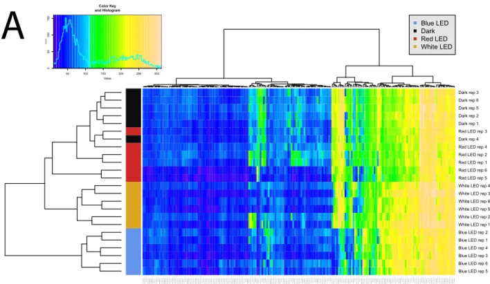 Fig 3. Overview of respiration behavior of Pseudomonas sp. DR 5–09 on 190 carbon (C) sources tested
