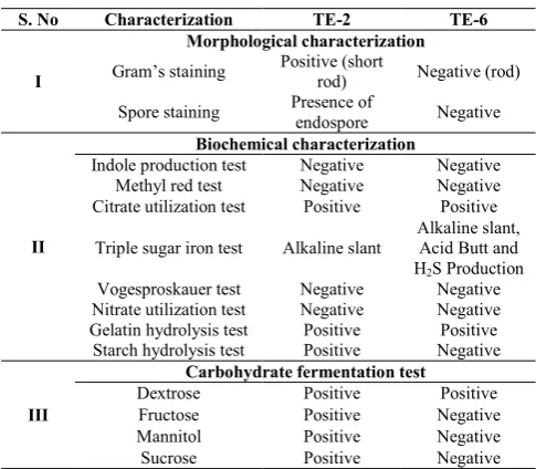 Table 1 Identification of the Chromium Tolerant Bacteria  