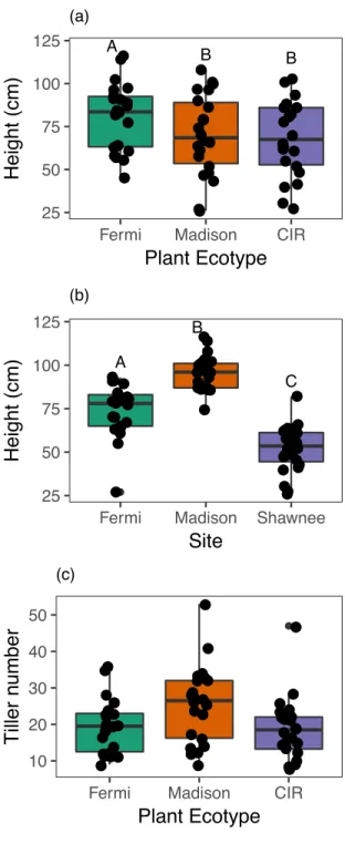Fig. 5. Average plant height differed between ecotypes (A) and field site (B), and tiller  number differs between ecotypes (C) at time of leaf collection
