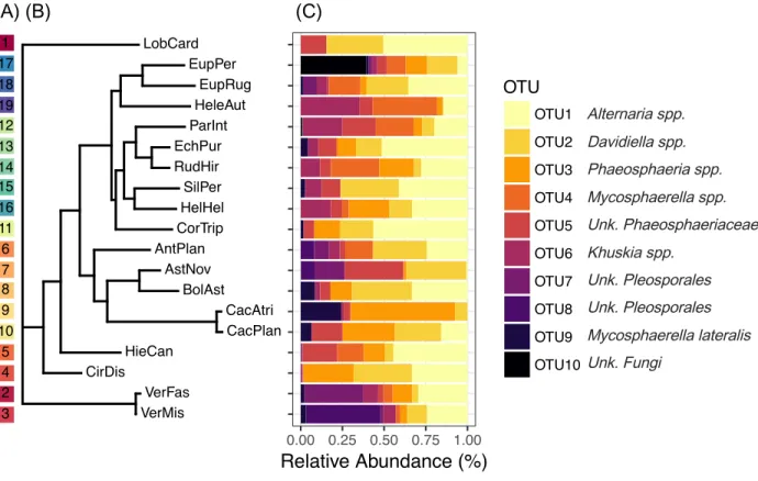 Fig. 1 – Relative abundance of top ten most abundant OTUs differs among host species. (A)  Color code corresponding to the phylogenetic tree and relative phylogenetic distances among host  species – as a reference for Figure 3
