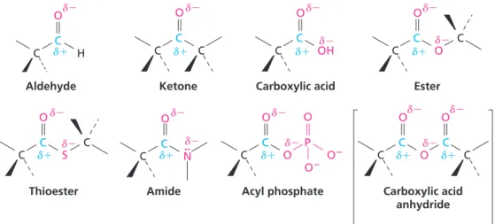 FIGURE 1.2 Polarity patterns in some carbonyl-containing functional groups. The carbonyl carbon atom is electron-poor (d1) and the oxygen atom is electron-rich (d2).