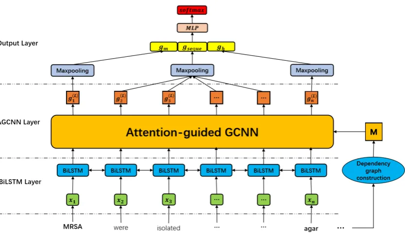 Figure 4: The architecture of our model. The input sentence is “MRSA were isolated by oxacillin screening agar”with a Microorganism entity “MRSA” and a Habitat entity “oxacillin screening agar”