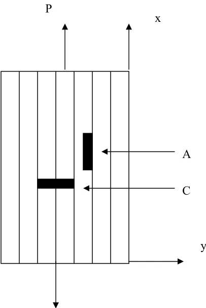 Figure 3.1a: T-rosette 